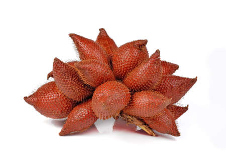 Salacca or zalacca on white backgroundの写真素材