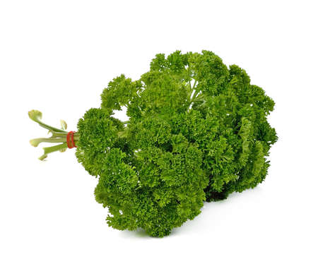 parsley isolated on white backgroundの写真素材