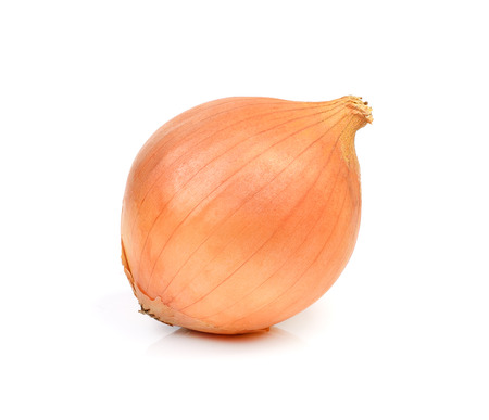 onion and isolated on white backgroundの写真素材