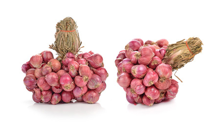 Shallots on white background (Allium ascalonicum)の写真素材