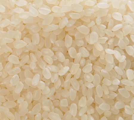 close up shot of the rice backgroundの写真素材