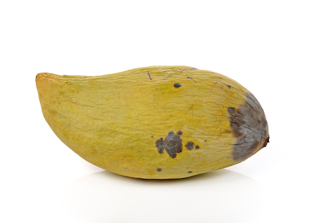 rotten mangoes isolated on white backgroundの写真素材