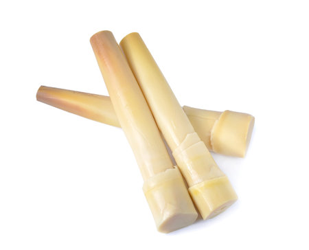 bamboo shoot isolated on white background