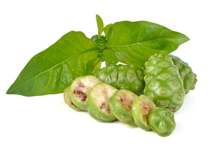 Great morinda isolated on white backgroundの写真素材