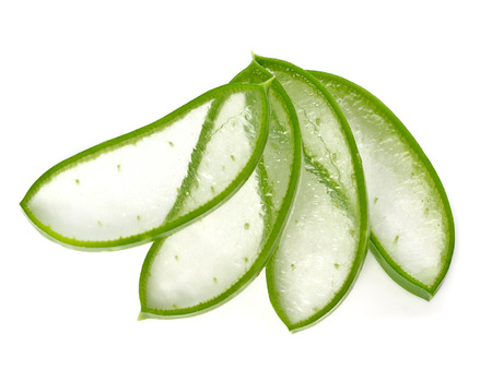 aloe vera fresh leaf. isolated over whiteの写真素材