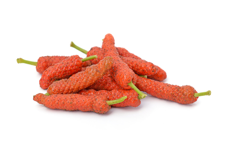 Long Pepper isolated on white backgroundの写真素材