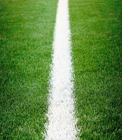 soccer field grassの写真素材