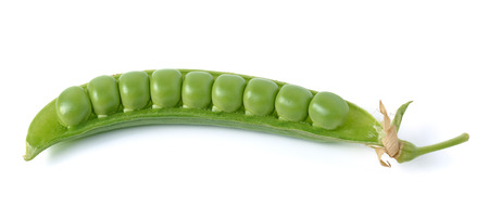 fresh green peas isolated on a white background.の写真素材