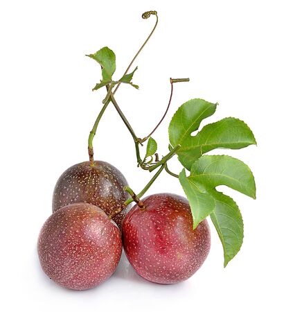 Passion fruit isolated on white backgroundの写真素材