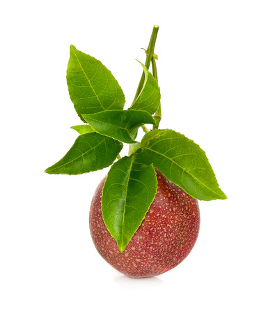 Passion fruit isolated on white backgroundの写真素材