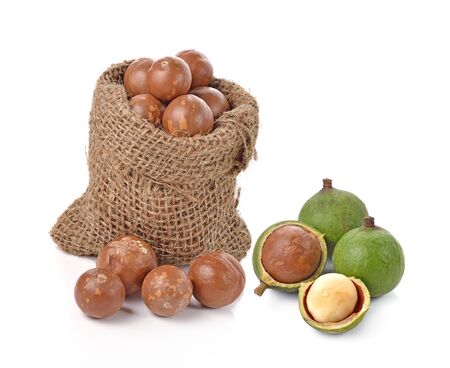 macadamia nuts on white backgroundの写真素材