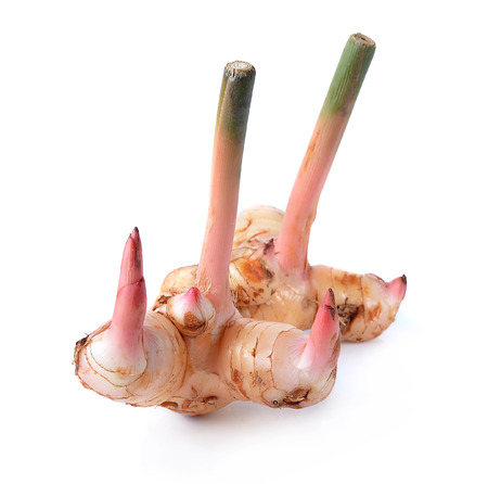 galangal isolated on white backgroundの写真素材