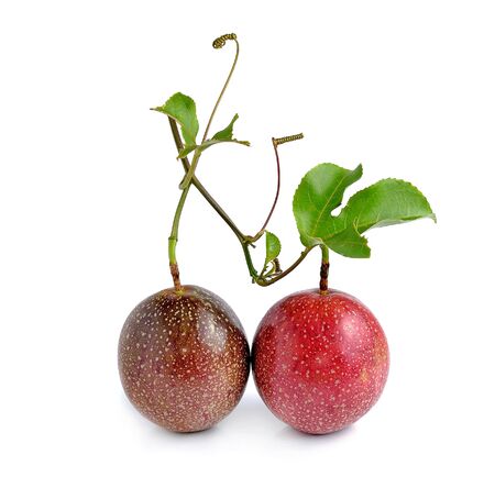Passion fruit isolated on white backgroundの写真素材