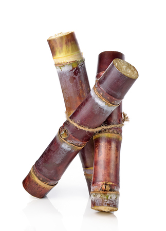 sugarcane isolated on white backgrounの写真素材