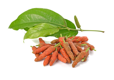 Long Pepper isolated on white backgroundの写真素材