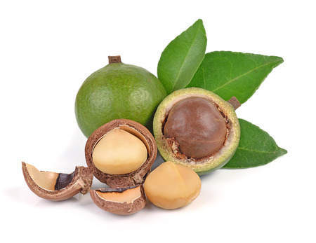 macadamia nuts isolated on white backgroundの写真素材