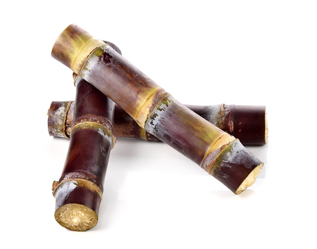 sugarcane isolated on white backgrounの写真素材