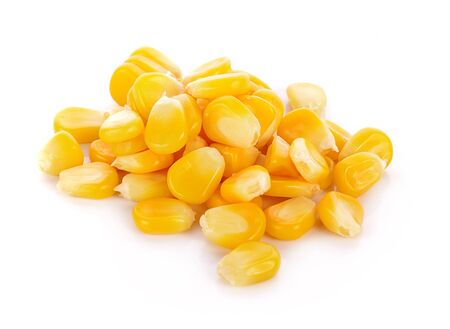 corn isolated on white  backgroundの写真素材