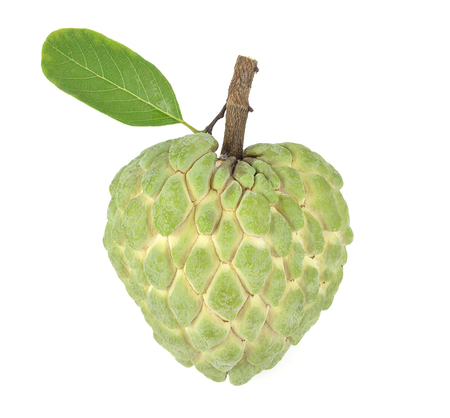Custard apple isolated on white background,annonaの写真素材