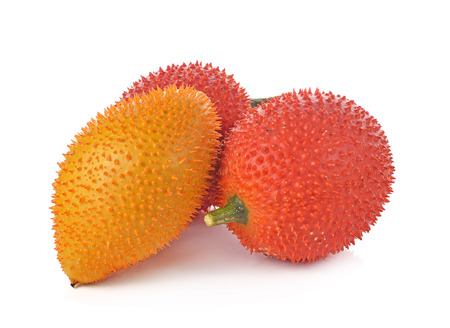 Gac fruit, Baby Jackfruit, Spiny Bitter Gourd, Sweet Grourd or Cochinchin Gourd on white backgroundの写真素材