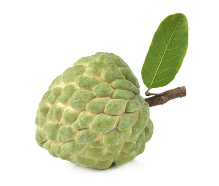 Custard apple isolated on white background,annonaの写真素材