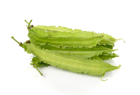 winged bean on white backgroundの写真素材
