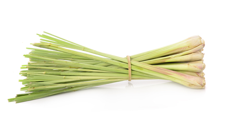 Lemon grass on white backgroundの写真素材