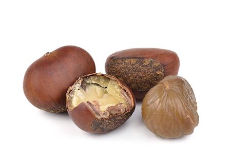 chestnuts on white backgroundの写真素材