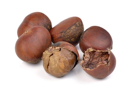 chestnuts on white backgroundの写真素材