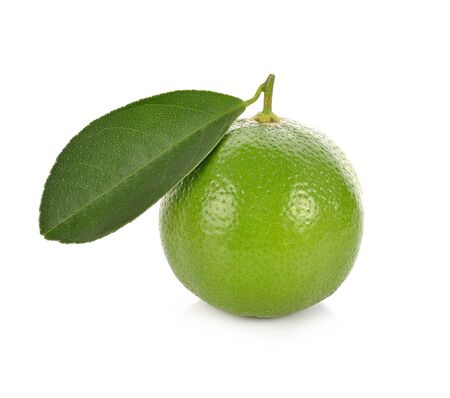 lime isolated on white backgroundの写真素材