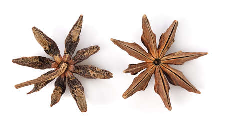 Star anise spice fruits and seeds isolated on white backgroundの写真素材