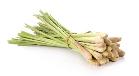 Lemon grass on white backgroundの写真素材