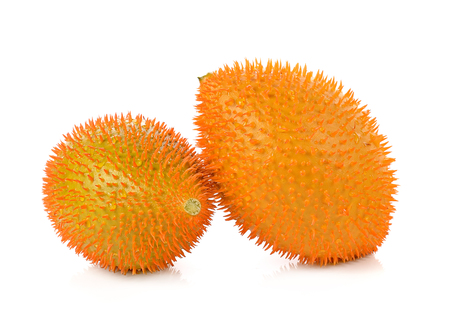 Gac fruit, Baby Jackfruit, Spiny Bitter Gourd, Sweet Grourd or Cochinchin Gourd on white backgroundの写真素材