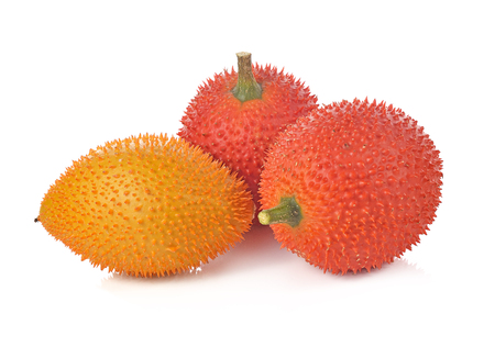 Gac fruit, Baby Jackfruit, Spiny Bitter Gourd, Sweet Grourd or Cochinchin Gourd on white backgroundの写真素材
