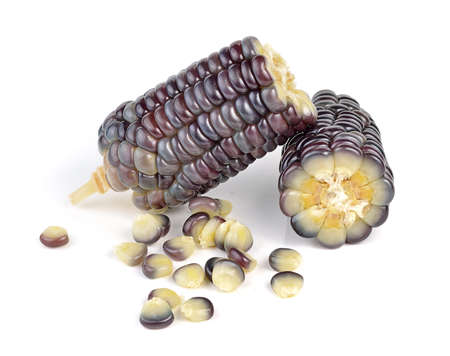 waxy corn on white backgroundの写真素材