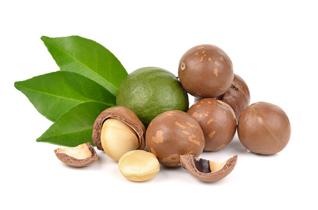 macadamia nuts on white backgroundの写真素材