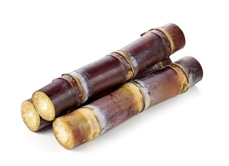 sugarcane isolated on white backgrounの写真素材