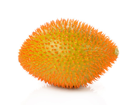 Gac fruit, Baby Jackfruit, Spiny Bitter Gourd, Sweet Grourd or Cochinchin Gourd on white backgroundの写真素材