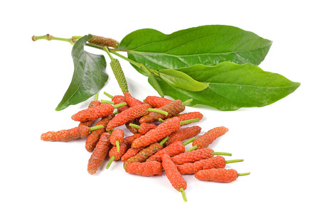 Long Pepper isolated on white backgroundの写真素材