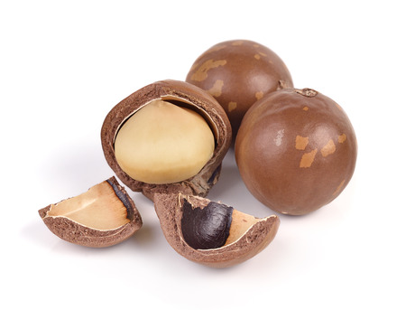 macadamia nuts isolated on white backgroundの写真素材