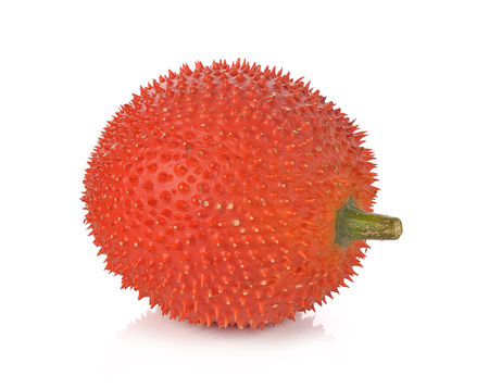 Gac fruit, Baby Jackfruit, Spiny Bitter Gourd, Sweet Grourd or Cochinchin Gourd on white backgroundの写真素材