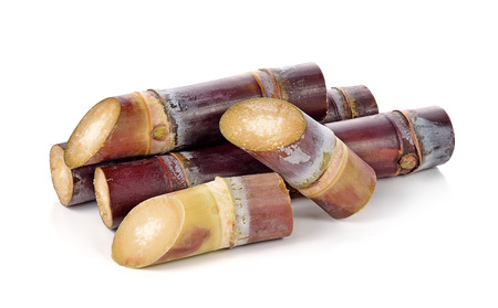 sugarcane isolated on white backgrounの写真素材