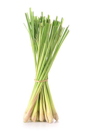 Lemon grass on white backgroundの写真素材