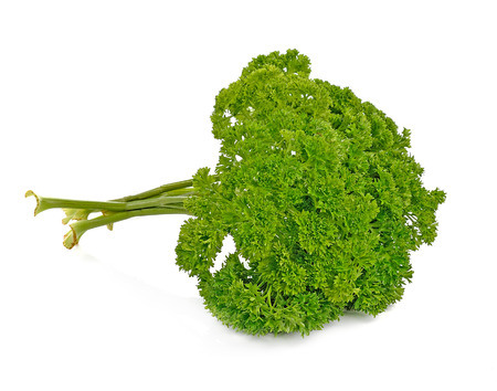 parsley isolated on white backgroundの写真素材
