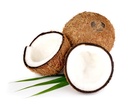 coconut on white backgroundの写真素材