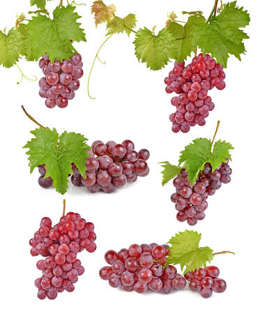 red grapes isolated on white backgroundの写真素材