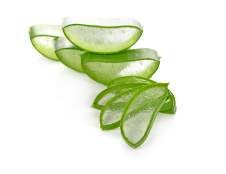 aloe vera fresh leaf isolated white backgroundの写真素材