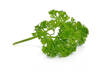 parsley isolated on white backgroundの写真素材
