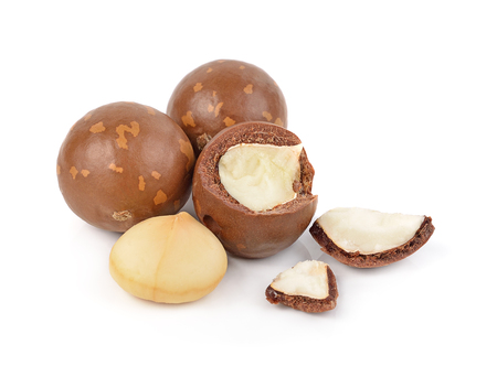 macadamia nuts isolated on white backgroundの写真素材