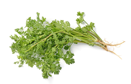 parsley isolated on white background.の写真素材